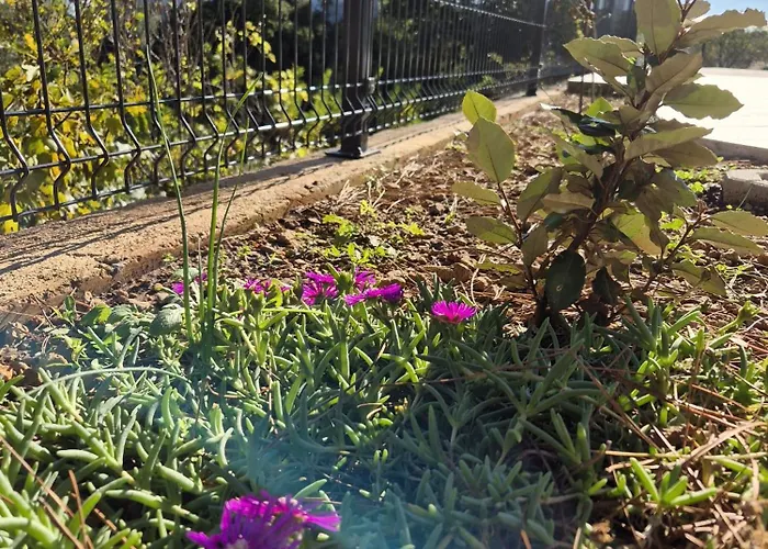 Natalija Adriatic 2 Appartement